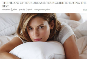 Frontgate.com blog: "The pillow of your dreams: Your guide to buying the best"