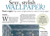 Cincinnati Enquirer: "Wallpaper is back, with modern applications"