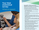 Mercy Health fetal anatomical survey pamphlet